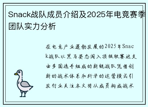 Snack战队成员介绍及2025年电竞赛季团队实力分析
